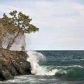 бегул