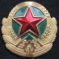 кокарда