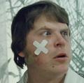 кокшенов