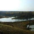 комариха