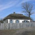 курень