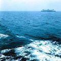 море