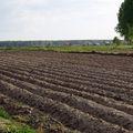 пашня
