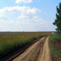 проселок