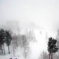 пурга