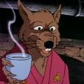 сплинтер